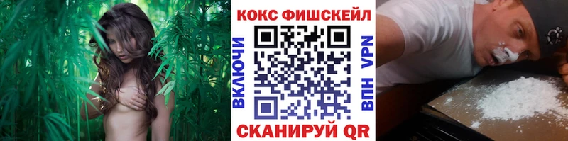 Cocaine Fish Scale Оса