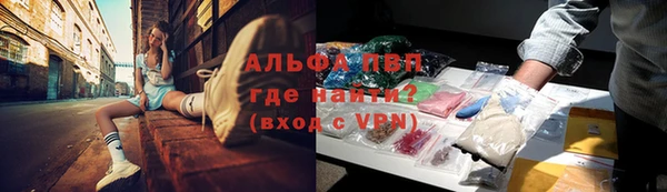 спиды Надым