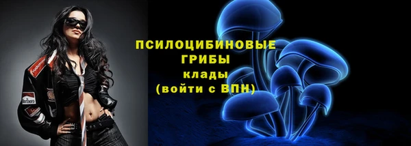 дурь Наволоки