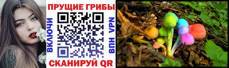 Галлюциногенные грибы мицелий  ОМГ ОМГ как войти  Оса 